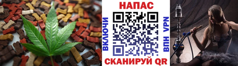 Canna-Cookies марихуана  Сланцы 
