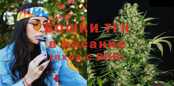 индика Беломорск