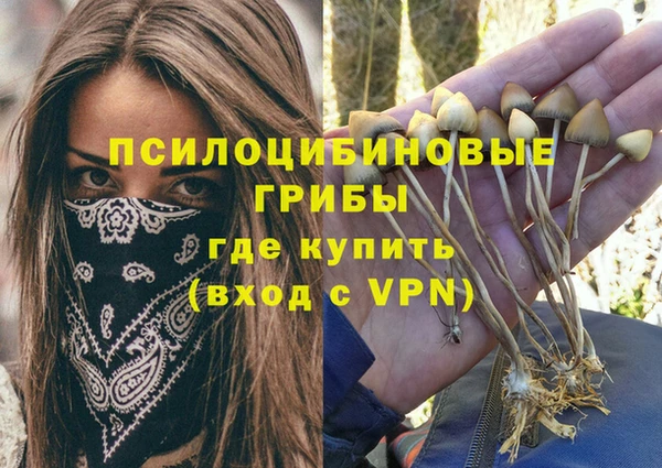 герыч Белокуриха