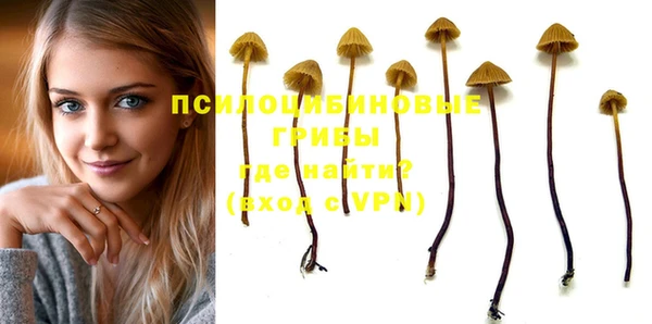 PSILOCYBIN Белоозёрский