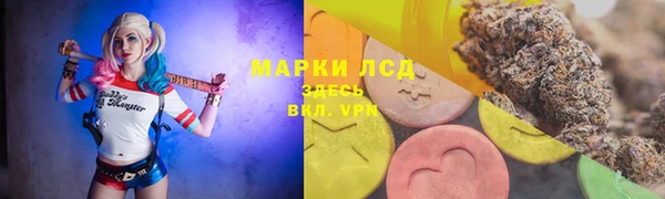 индика Беломорск