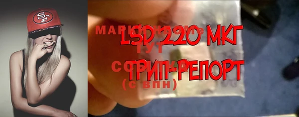 стаф Карпинск