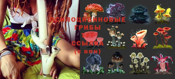 герыч Белокуриха