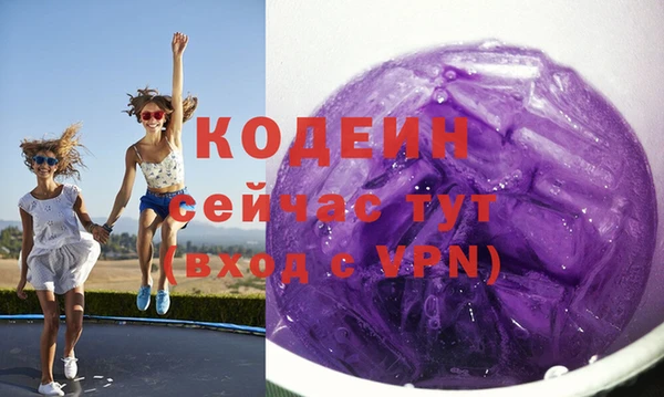 индика Беломорск