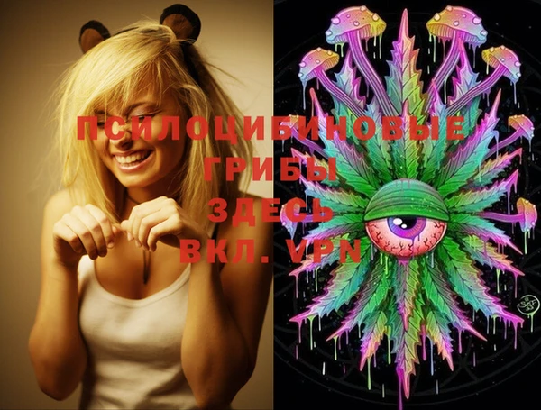 PSILOCYBIN Белоозёрский