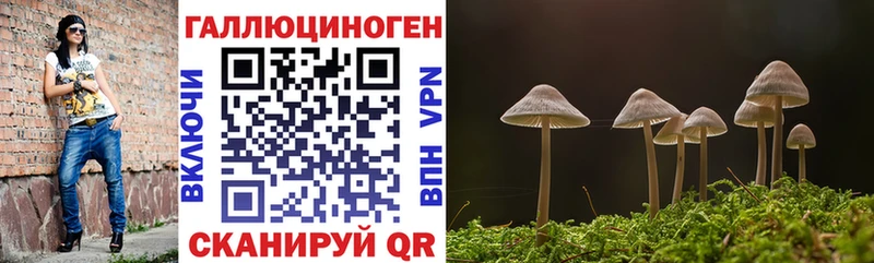 Псилоцибиновые грибы мухоморы  Сланцы 